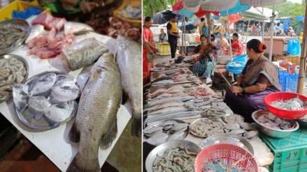 Retail fish prices increased difference between supply demand uran