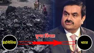 gautam adani coal import scam