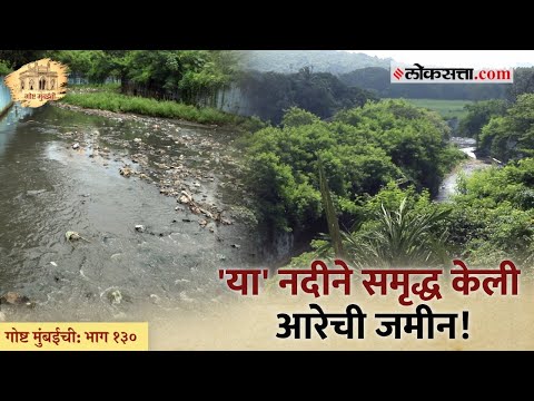 Why these rivers in Mumbai also flow wavy