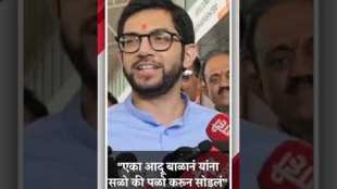 Aditya Thackerays reply to BJP leaders