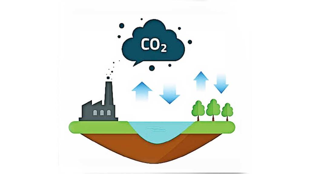 ocean important role in absorbing carbon