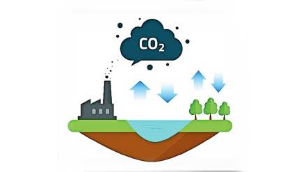 ocean important role in absorbing carbon