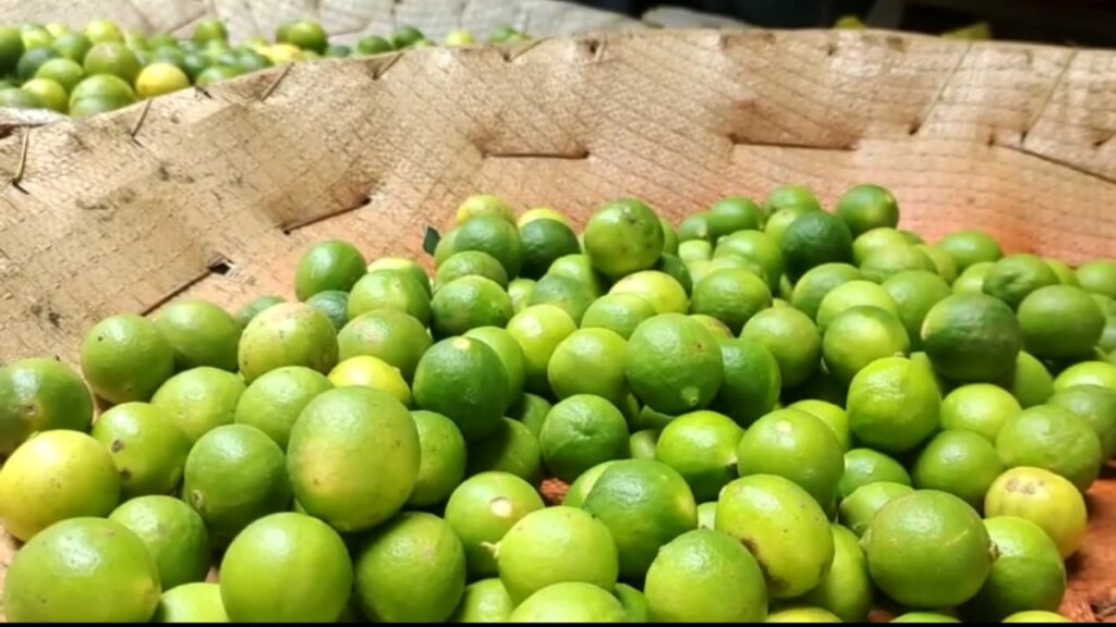 price lemon increased