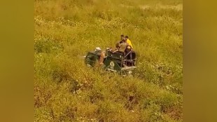 Panjabrao Deshmukh Agricultural University, leopard jumped on a forest department vehicle in Nagpur ,