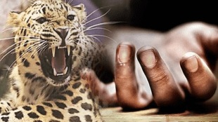 child died leopard attack horpade Dhule