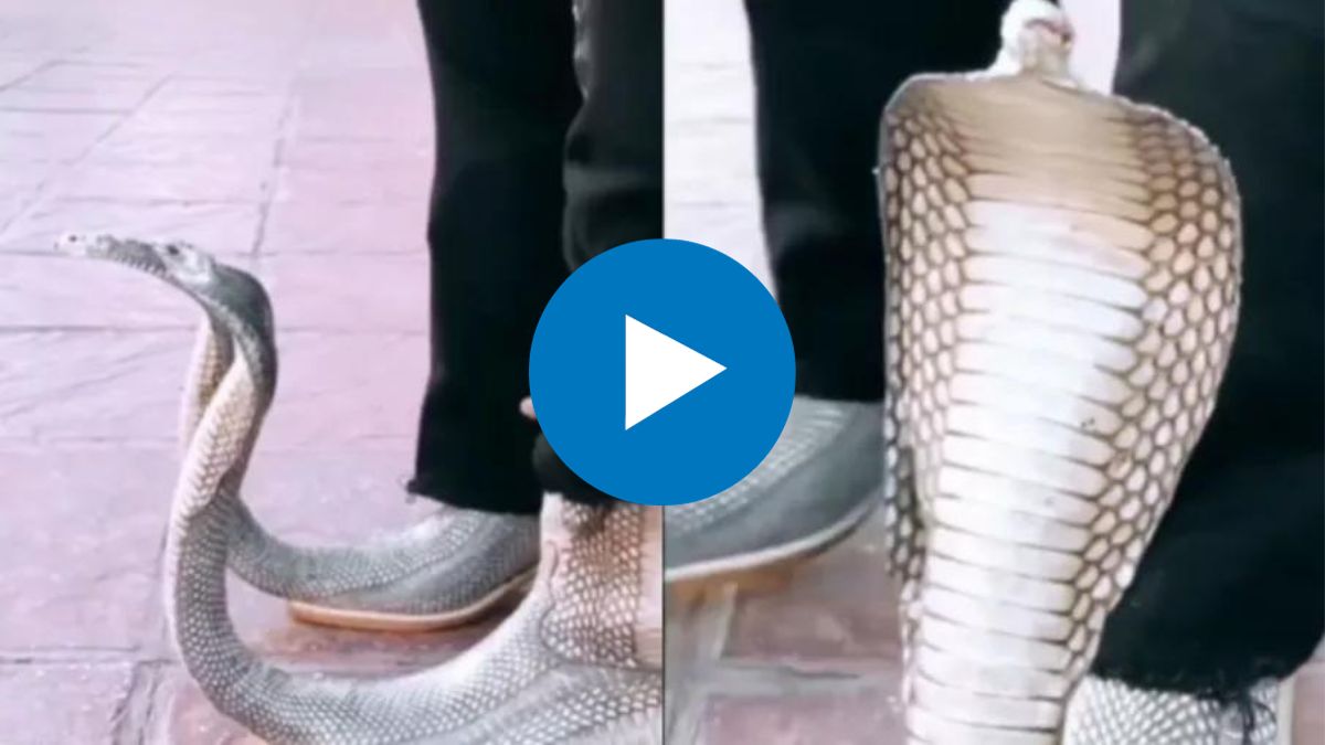 Naagin look shoes went viral on social media, people were surprised to see the video