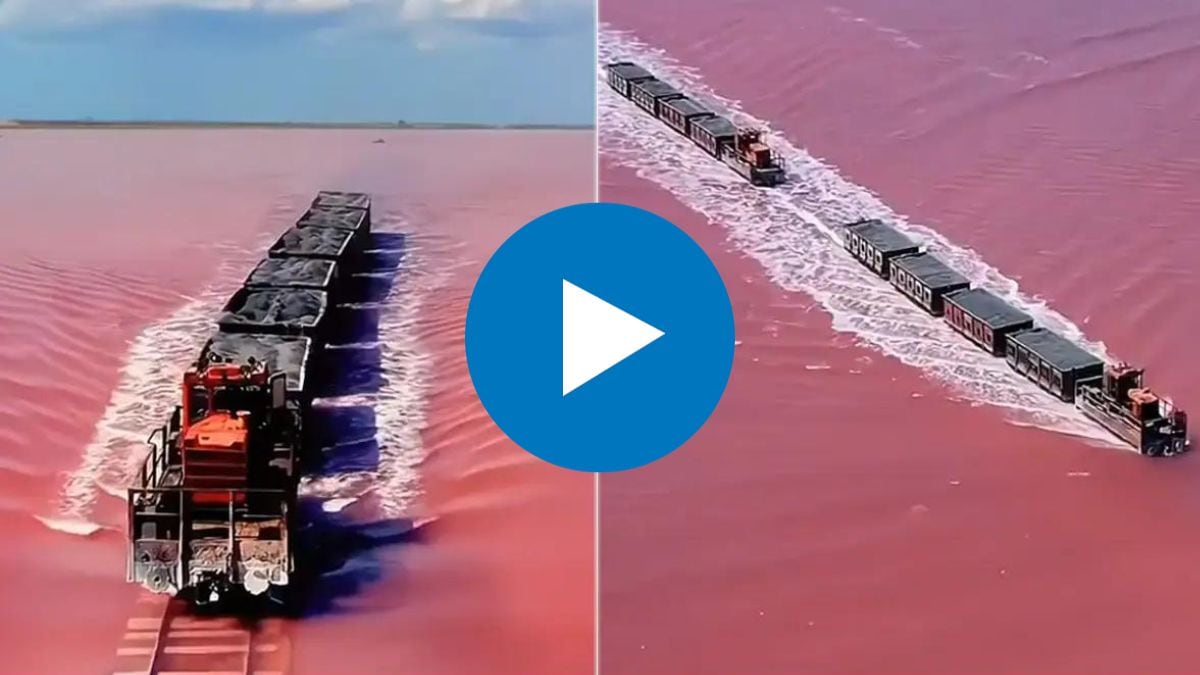 pink lake burlinskoye in siberia