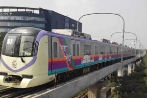 पक्ष्यांनी मेट्रोचा मार्ग अडविला; ओव्हरहेड केबलला धडकल्याने सेवा अर्धा तास खंडित maha metro