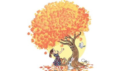 Maple tree, multi purpose use maple
