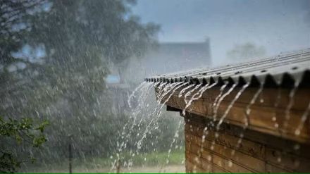 nine maharashtra districts receives Less than average rainfall in this year