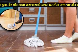 घरातील कितीही जुना ड्राय किंवा वेट मॉप होईल अगदी स्वच्छ; वापरा घरातील फक्त ‘या’ दोन वस्तू how do you get a dirty mop white again how to clean mop head naturally