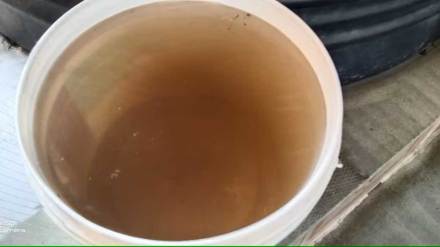 muddy water