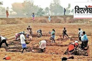 maharashtra rural areas growing reliance on mgnrega