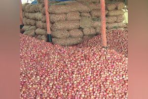 नाशिक: कांदा कोंडी फुटली; व्यापाऱ्यांचा संप मागे onine, nashik onion strick