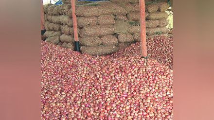 onine, nashik onion strick