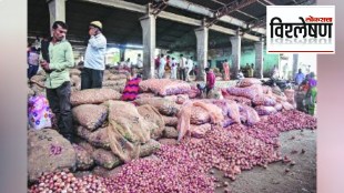 Explained Why has there been an increase in the price of onion due to the increase in onion price in the market