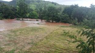 heavy rainfall recorded ain sangli district
