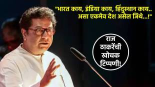 raj thackeray mns (1)