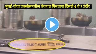 rat menace in mumbai goa express pantry passenger spots rats inside madgaon express kitchen viral video