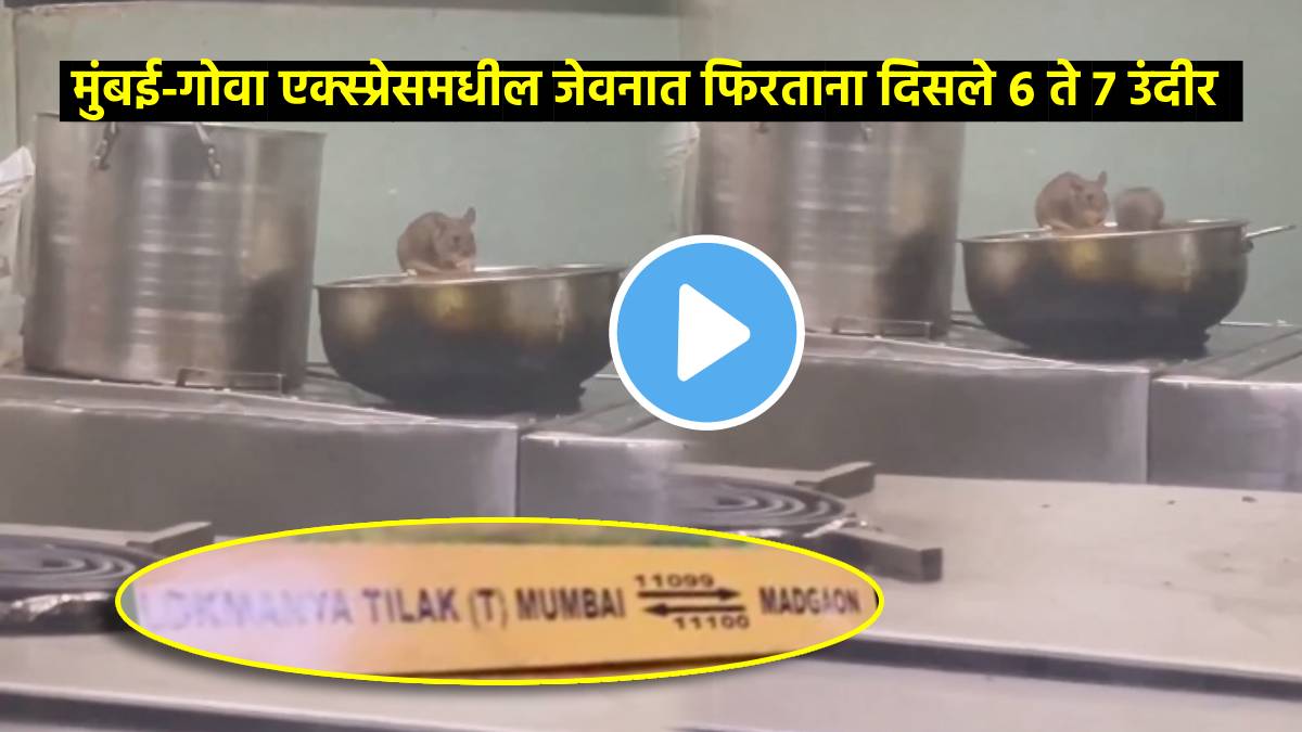 rat menace in mumbai goa express pantry passenger spots rats inside madgaon express kitchen viral video