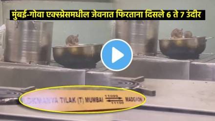 rat menace in mumbai goa express pantry passenger spots rats inside madgaon express kitchen viral video