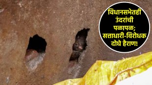 rats issue in kolkata