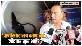 sandip deshpande