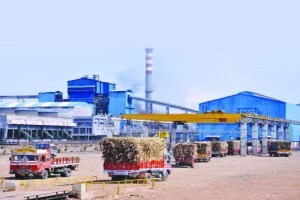 Decision to pay a lump sum of Rs 3001 per tonne to sugar mills during fall season as per FRP Kolhapur