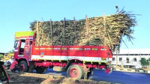 The sugarcane harvesting season starts from November 1 and the production of sugar is estimated at 89 lakh metric tons this year
