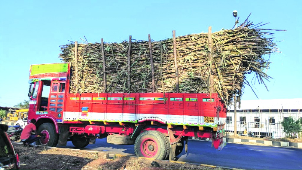 The sugarcane harvesting season starts from November 1 and the production of sugar is estimated at 89 lakh metric tons this year