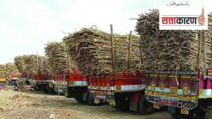 politics, sugarcane cutting rate issue, sugarcane farmer, NCP