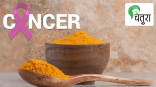 multi-purpose turmeric has anti-cancer properties