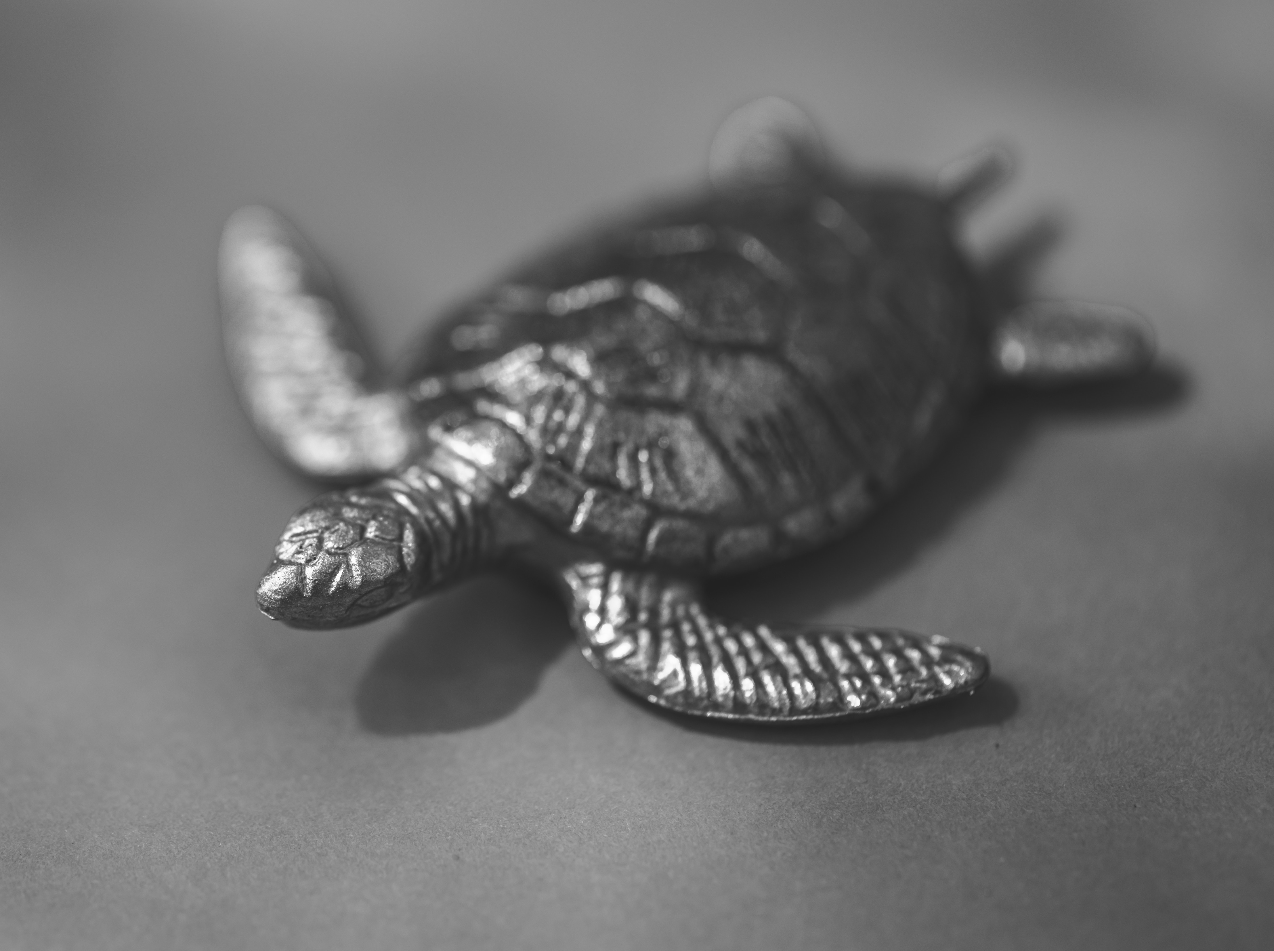 vastu-shastra-metal-turtle