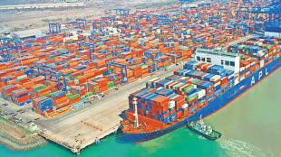 adani port every 500 km of coastline these handle 24 percent of all cargo govt share dips