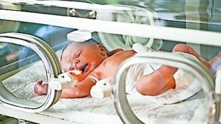 highest preterm birth rate in india,