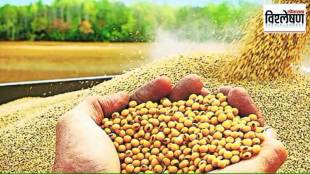 analysis of soybean prices fall key reasons for declining soybean