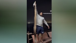 A fisherman fishing in Mora harbor found a fish ten feet long