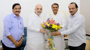 Ajit Pawar and Amit Shah Meeting in Delhi