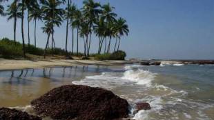 Pollution, hazardous levels, Konkan coastline, chemicals endangering marine, human health