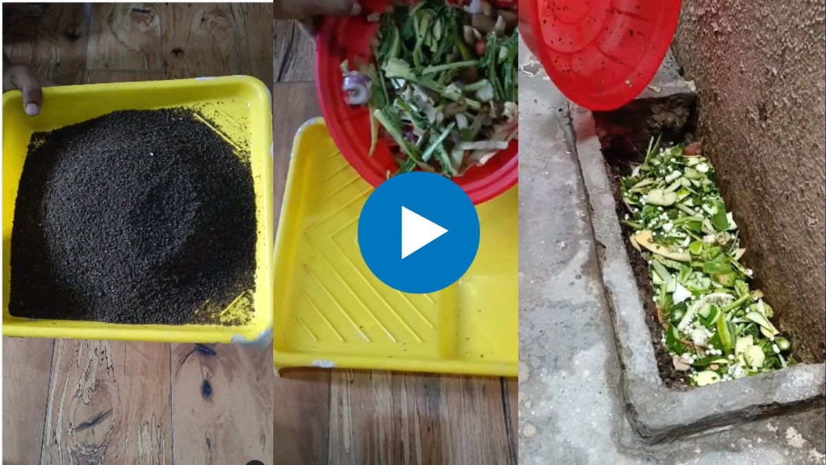 Make compost naturally at home using Fruits vegetable waste Watch the viral video