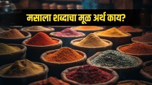 What is the Meaning of Word Masala