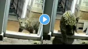 Tamil Nadu: A leopard entered a house in the Coonoor's Brooklands area