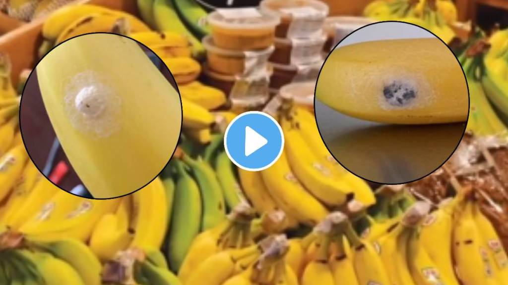 Woman Discovers Bananas With White Spots; Internet Warns Her Of Possible Danger video viral