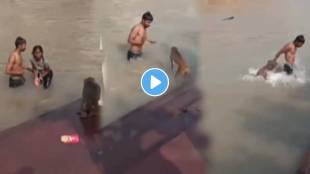 Viral video monkey attacked on boy in river funny video viral