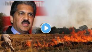 'To heal Delhi pollution...': Anand Mahindra offers help to curb stubble burning See post