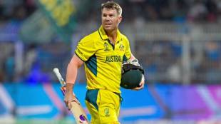 David Warner Social Media Post Viral