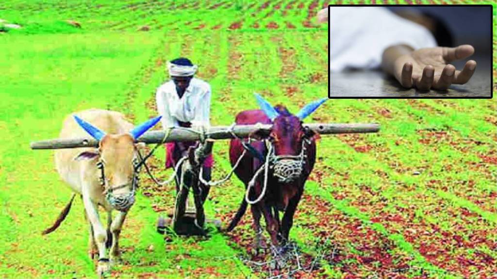 farmers suicide Chandrapur