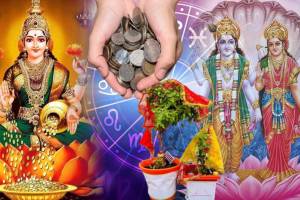 22 Months Later Mangal Enters Vruschik Lakshmi Vishnu Bless 3 Rashi With Crores Of rupees Money Kartiki Ekadashi Tulsi Vivah