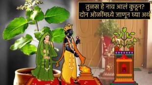 Tulsi Vivah Mantra Shubh Muhurta Unknown Facts How Tulsi name was Decided Tulshichya Lagnachi katha Why Tulsi Is Shubh