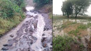 Unseasonal rain Sindkhedaraja